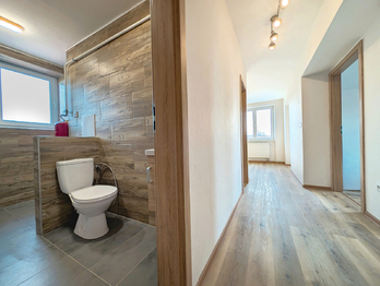 Pronájem bytu 3+kk v osobním vlastnictví 60 m², Vroutek