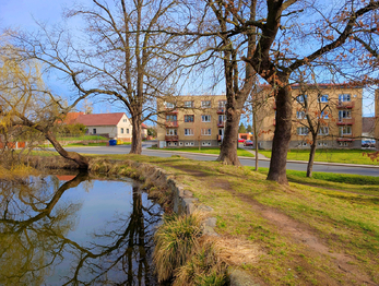 Pronájem bytu 3+kk v osobním vlastnictví 60 m², Vroutek