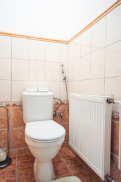 Prodej domu 245 m², Syrovátka