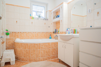 Prodej domu 245 m², Syrovátka