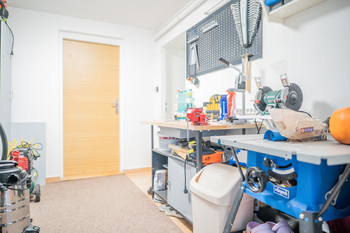 Prodej domu 245 m², Syrovátka