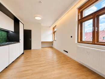 Pronájem bytu 1+kk v osobním vlastnictví 30 m², Praha 3 - Žižkov