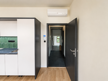 Pronájem bytu 1+kk v osobním vlastnictví 30 m², Praha 3 - Žižkov