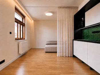 Pronájem bytu 1+kk v osobním vlastnictví 30 m², Praha 3 - Žižkov