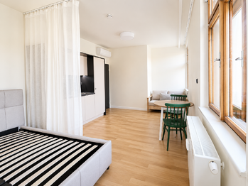 Pronájem bytu 1+kk v osobním vlastnictví 30 m², Praha 3 - Žižkov
