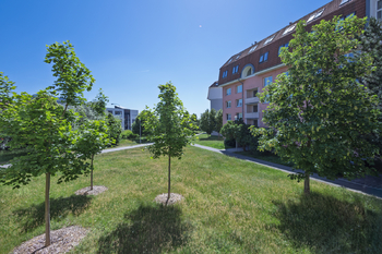 Prodej bytu 2+1 v osobním vlastnictví 62 m², Brno