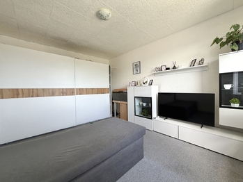 Prodej bytu 1+1 v osobním vlastnictví 35 m², Klášterec nad Ohří