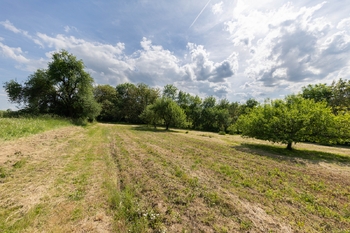 Prodej ubytovacího zařízení 230 m², Mohelnice