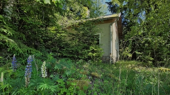 Prodej chaty / chalupy 60 m², Sněžné