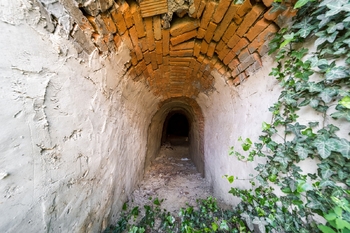 Prodej vinného sklepa, 78 m2, Božice - Prodej vinného sklepa, Božice