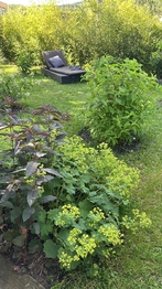 Prodej domu 258 m², Hrob