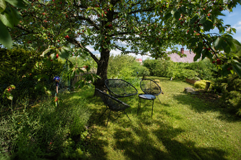Prodej chaty / chalupy 200 m², Radkov
