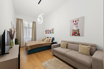 Prodej bytu 2+kk v osobním vlastnictví 57 m², Praha 3 - Vinohrady