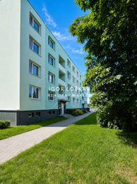 Pronájem bytu 2+1 v osobním vlastnictví 59 m², Brno