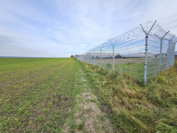 pohled na "velký" pozemek - Prodej pozemku 16025 m², Benátky nad Jizerou