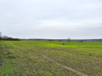 pohled na "velký" pozemek - Prodej pozemku 15940 m², Benátky nad Jizerou 