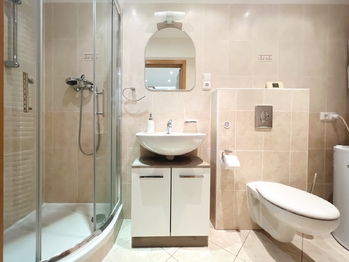 Prodej domu 275 m², Zdiby