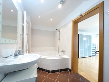 Prodej domu 275 m², Zdiby