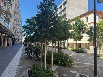 Prodej bytu 3+kk v osobním vlastnictví 75 m², Pescara