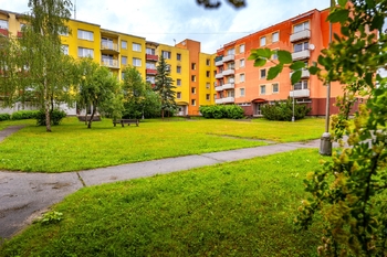 širší okolí domu - Prodej bytu 3+1 v osobním vlastnictví 63 m², Týn nad Vltavou