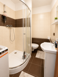 Pronájem bytu 1+1 v osobním vlastnictví 37 m², Plzeň