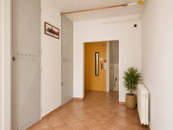 Pronájem bytu 1+1 v osobním vlastnictví 37 m², Plzeň