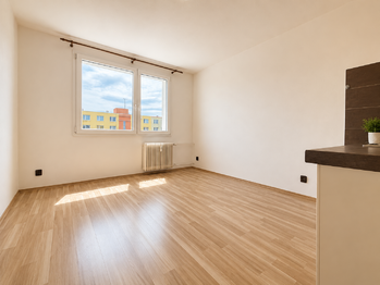 Pronájem bytu 1+1 v osobním vlastnictví 37 m², Plzeň