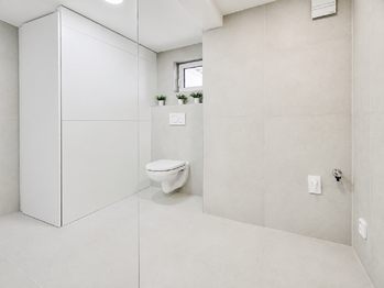 Pronájem domu 55 m², Velvary