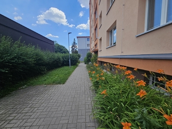Prodej bytu 2+1 v osobním vlastnictví 52 m², Litvínov