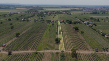Prodej pozemku 1448 m², Prušánky