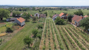 Prodej pozemku 1448 m², Prušánky