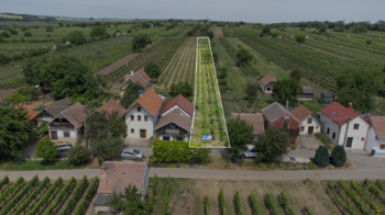 Prodej pozemku 1448 m², Prušánky