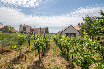 Prodej pozemku 1448 m², Prušánky