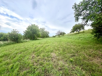 Prodej pozemku 896 m², Násedlovice