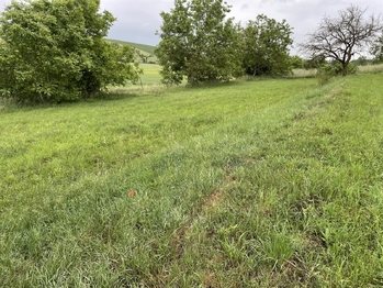 Prodej pozemku 896 m², Násedlovice