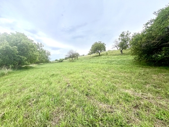 Prodej pozemku 896 m², Násedlovice