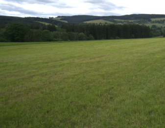 Prodej pozemku 9837 m², Velhartice