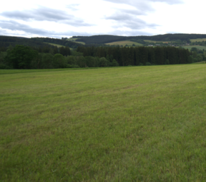 Prodej pozemku 9837 m², Velhartice