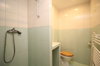 koupelna s toaletou - Prodej bytu 1+1 v osobním vlastnictví 31 m², Frýdek-Místek