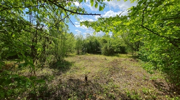 Prodej pozemku 858 m², Střemy