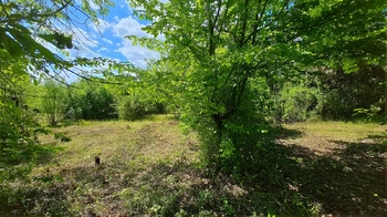 Prodej pozemku 858 m², Střemy