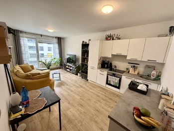 Pronájem bytu 2+kk v osobním vlastnictví 55 m², Praha 9 - Vysočany