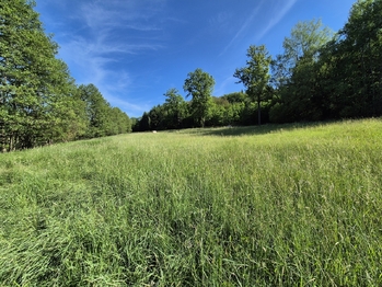 Prodej pozemku 5761 m², Netolice