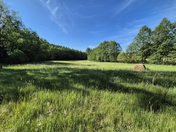 Prodej pozemku 5761 m², Netolice