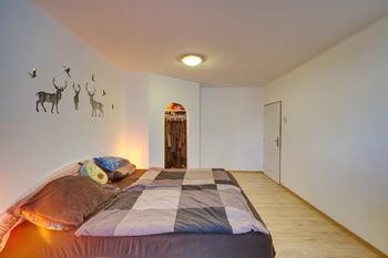 ložnice 2 - Prodej bytu 3+1 v družstevním vlastnictví 82 m², Plzeň