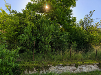 Prodej pozemku 559 m², Ivančice