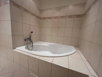 Pronájem bytu 3+kk v osobním vlastnictví 70 m², Praha 4 - Michle