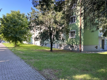 Pronájem bytu 1+1 v osobním vlastnictví 30 m², Plzeň