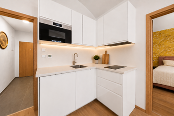 Prodej bytu 2+kk v osobním vlastnictví 39 m², Praha 3 - Žižkov