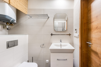 Prodej bytu 2+kk v osobním vlastnictví 39 m², Praha 3 - Žižkov